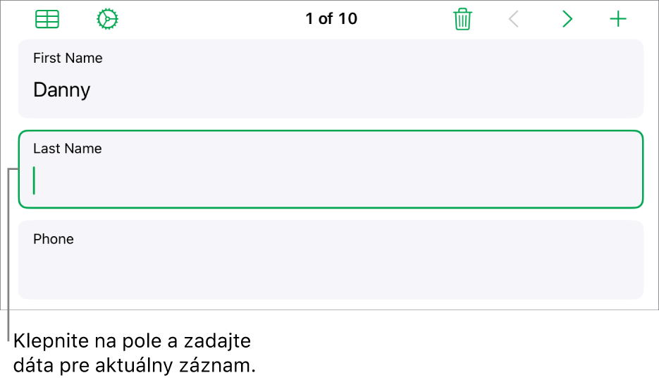Záznam vo formulári zobrazujúci aktívne pole s kurzorom.