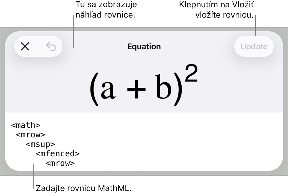 Dialógové okno Rovnica zobrazujúce rovnicu napísanú pomocou príkazov MathML, vyššie sa nachádza náhľad vzorca.