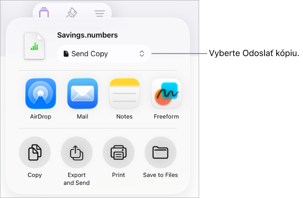 Menu Zdieľať s vybranou možnosťou Odoslať kópiu vo vrchnej časti.