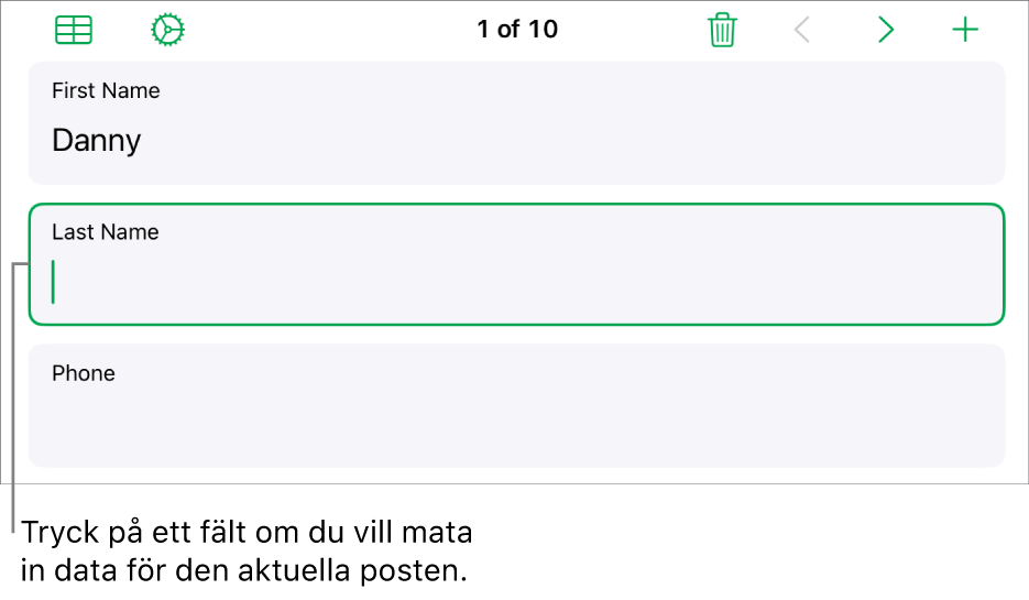 En post i ett formulär som visar ett aktivt fält med en insättningspunkt.