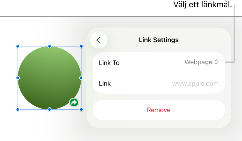 Reglage för länkinställningar med Webbsida markerat och knappen Ta bort längst ned.