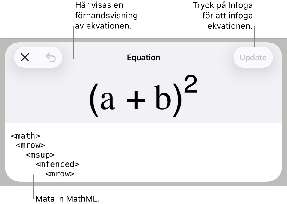Dialogrutan Ekvation visar en ekvation som skrivits med MathML-kommandon och en förhandsvisning av formeln ovanför den.