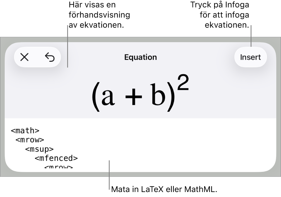 Dialogrutan Ekvation visar en ekvation som skrivits med MathML-kommandon och en förhandsvisning av formeln ovanför den.