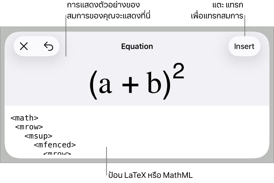 หน้าต่างโต้ตอบสมการ ที่แสดงสมการที่เขียนโดยใช้คำสั่ง MathML และการแสดงตัวอย่างของสูตรด้านบน