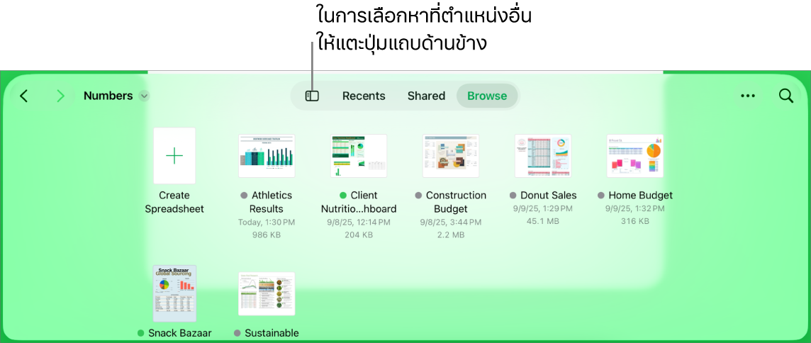 มุมมองเลือกหาของตัวจัดการเอกสารพร้อมลิงก์ตำแหน่งที่มุมซ้ายบนและช่องค้นหาทางด้านล่าง ที่มุมขวาบนสุด ได้แก่ ปุ่มเพิ่มสเปรดชีต ปุ่มโฟลเดอร์ใหม่ เมนูที่แสดงขึ้นเพื่อใช้มุมมองรายการหรือไอคอนและเพื่อฟิลเตอร์ตามชื่อ วันที่ ขนาด ประเภท และแท็ก รวมถึงปุ่มเลือก ด้านล่างปุ่มเหล่านี้คือรูปย่อของสเปรดชีตที่มีอยู่