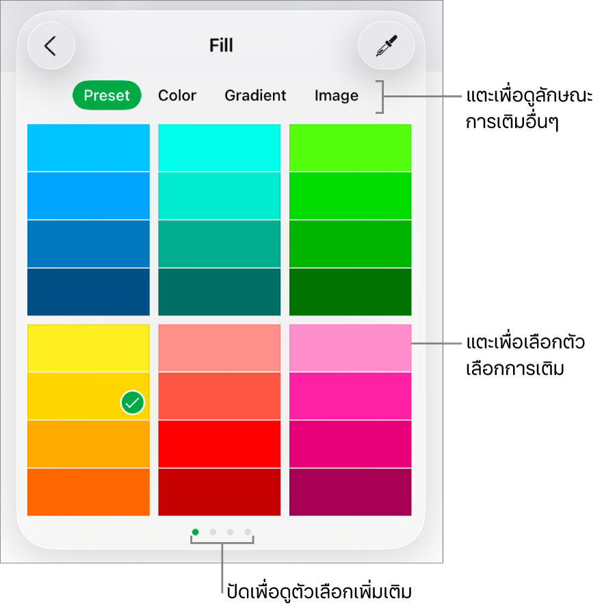 ตัวเลือกการเติมในแถบลักษณะของปุ่มรูปแบบ