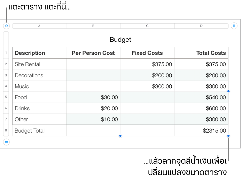 ตารางที่เลือกอยู่พร้อมจุดสีน้ำเงินสำหรับปรับขนาด