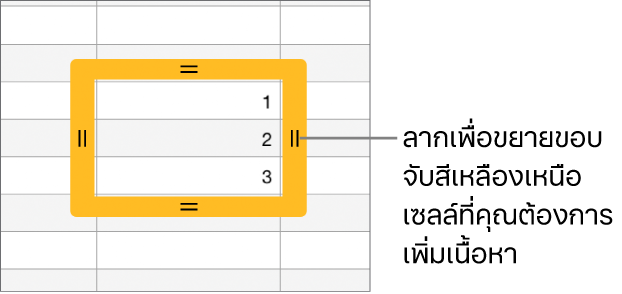 เซลล์ที่เลือกอยู่ที่มีเส้นขอบสีเหลืองขนาดใหญ่ ซึ่งคุณสามารถลากเพื่อป้อนเซลล์อัตโนมัติได้