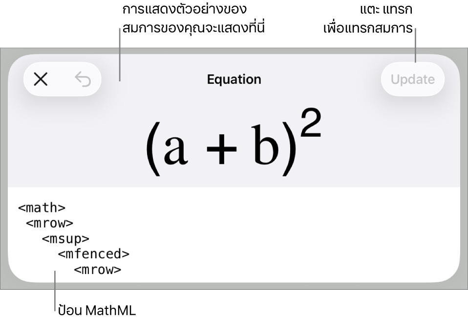 หน้าต่างโต้ตอบสมการ ที่แสดงสมการที่เขียนโดยใช้คำสั่ง MathML และการแสดงตัวอย่างของสูตรด้านบน