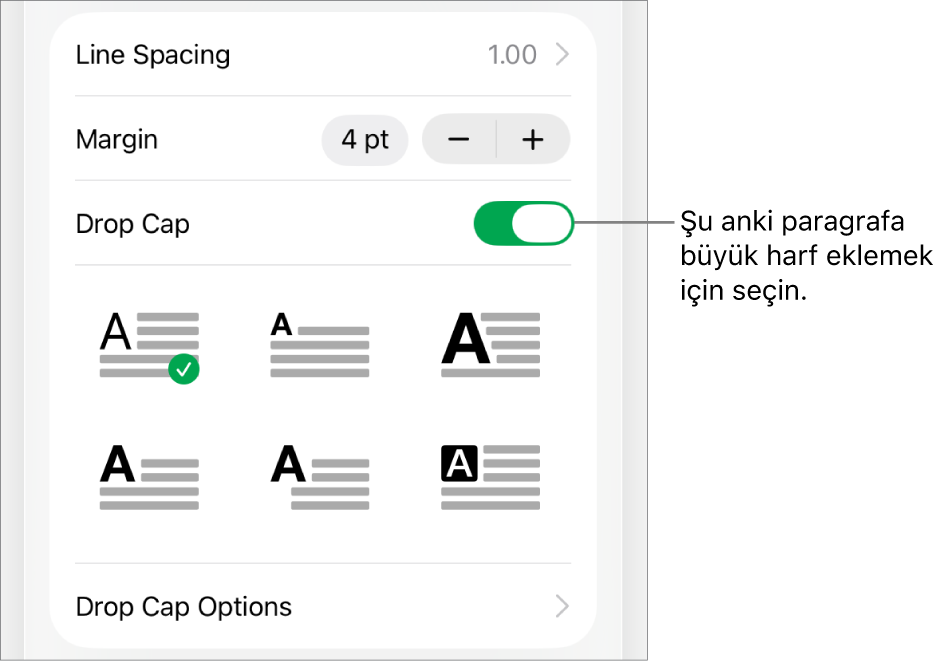 Metin menüsünde yer alan İlki Büyük Harf denetimleri.