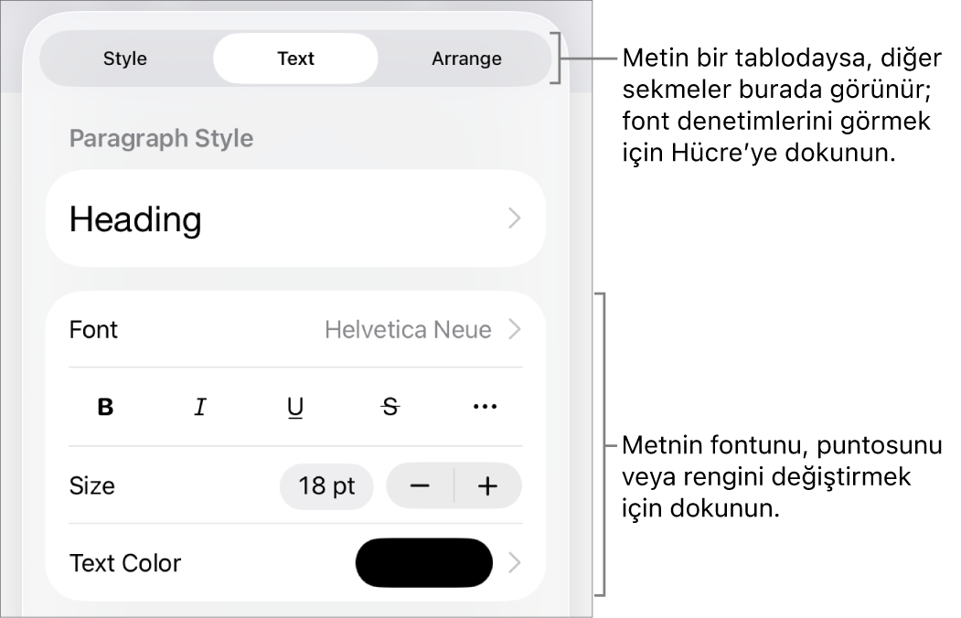 Paragraf ve karakter stillerini, fontunu, boyutunu ve rengini ayarlamak için Biçim menüsündeki metin kontrolleri.