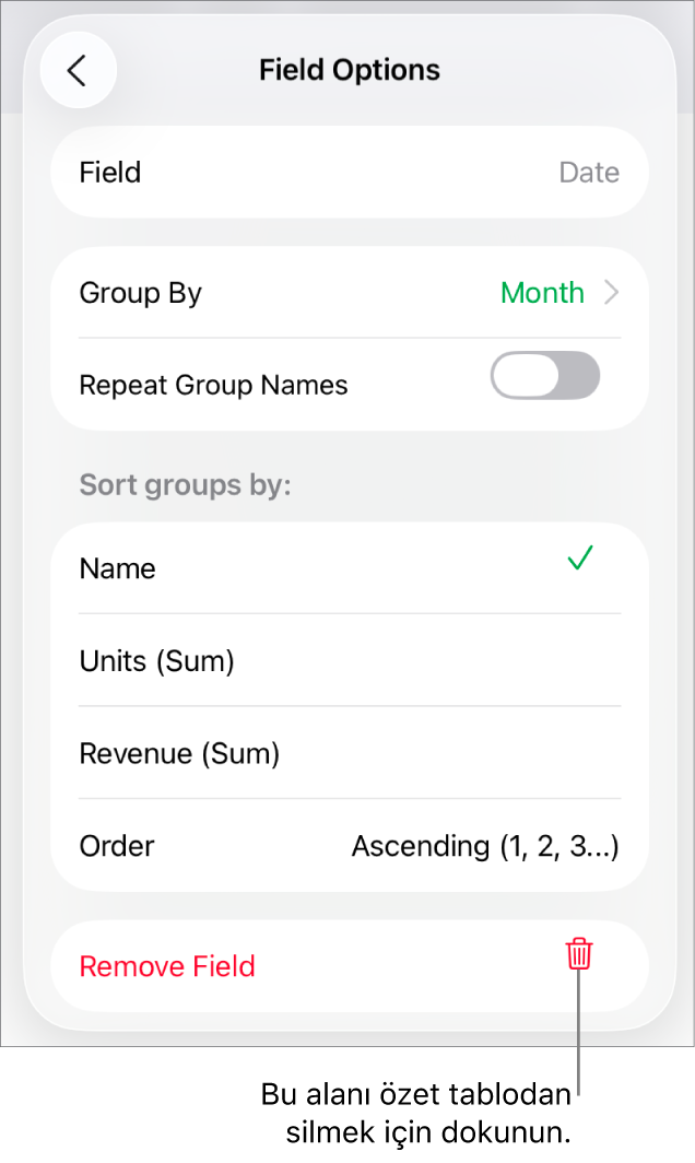 Verileri gruplama ve sıralama denetimleri ile alan silme seçeneğini gösteren Alan Seçenekleri menüsü.
