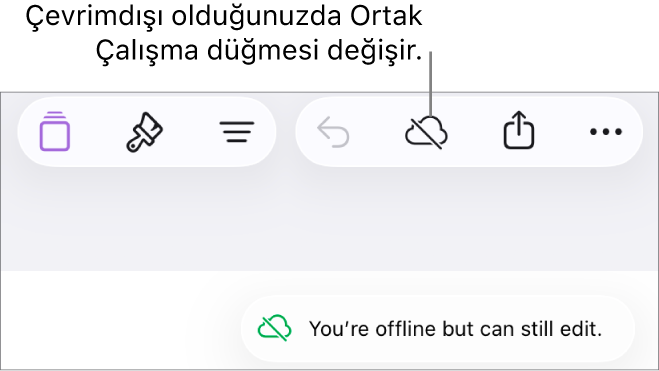 Ekranın en üstündeki düğmeler; Ortak Çalışma düğmesi, üzerinde çapraz bir çizgi olan bir buluta değişmiş. Ekrandaki bir uyarı “Çevrimdışısınız ama yine de düzenleyebilirsiniz” der.