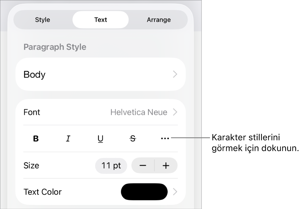 En üstteki paragraf stilleri ile Biçim denetimleri, ardından Font denetimleri. Font’un altında Kalın, İtalik, Altı Çizgili, Üstü Çizgili ve Daha Fazla Metin Seçeneği düğmeleri bulunur.