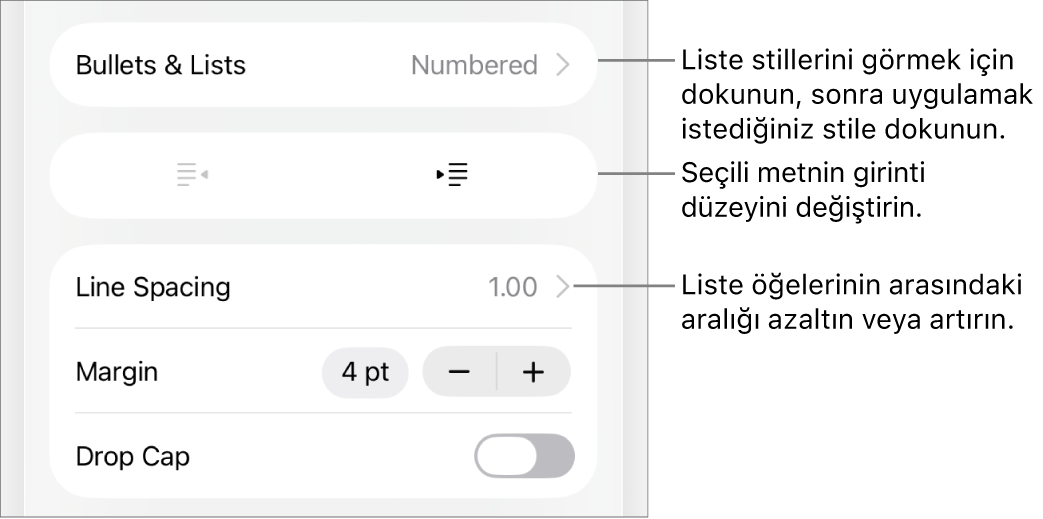 Madde İşaretleri ve Listeler, çıkıntı ve girinti düğmeleri ve de satır aralığı denetimlerini gösteren belirtme çizgileri ile Biçim denetimlerinin Madde İşaretleri ve Listeler bölümü.