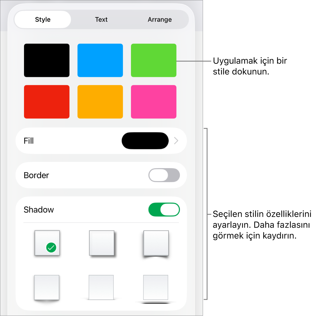 En üstte şekil stilleri ve onların altında doldurma, sınır ve gölge özelliklerini değiştirme denetimleriyle Biçim menüsünün Stil sekmesi.