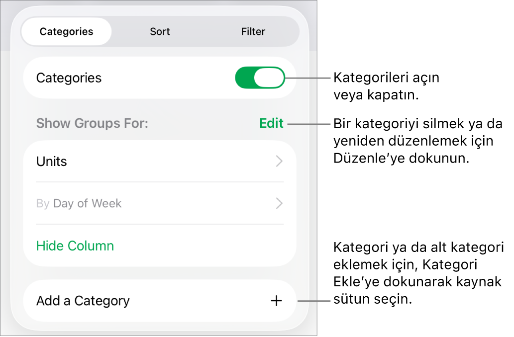 Kategorileri kapatma, kategorileri silme, verileri yeniden gruplama, kaynak sütunu gizleme ve kategori ekleme seçeneklerini içeren, iPad için Kategoriler menüsü.