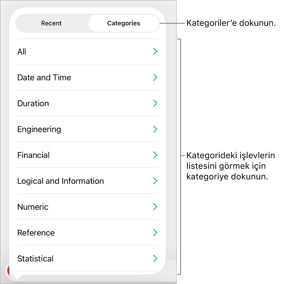 Kategoriler düğmesi seçili olarak ve onun altında kategori listesi ile İşlev Tarayıcı.