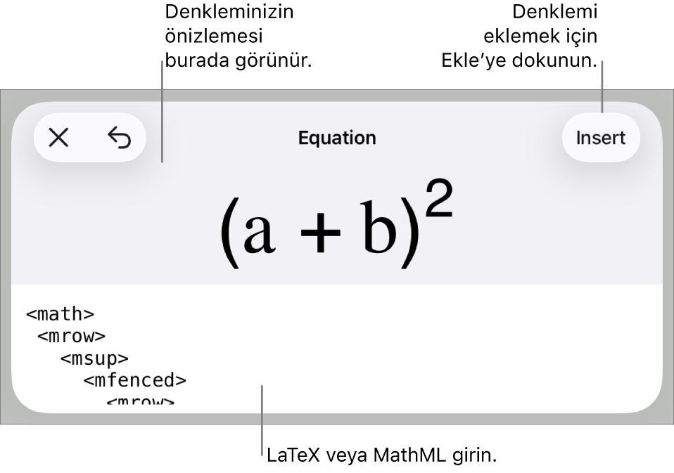 MathML komutları kullanılarak yazılmış bir denklemi ve onun üstünde formülün önizlemesini gösteren Denklem sorgu kutusu.