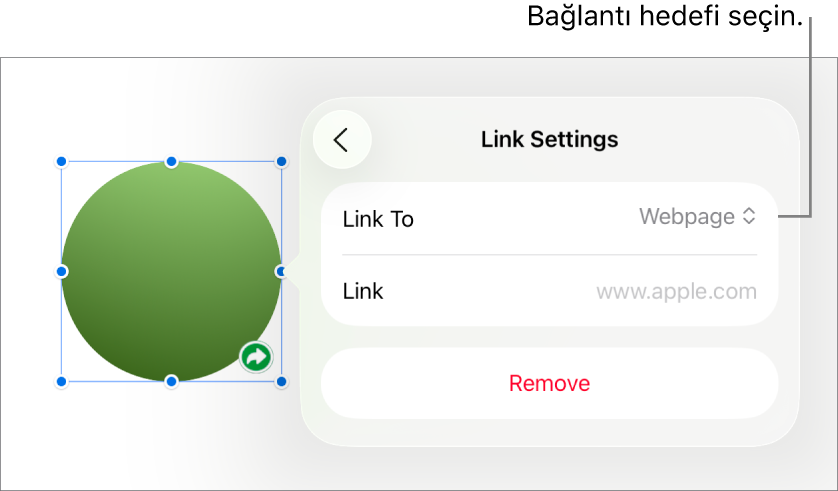 Bağlantı Ayarları denetimlerinde Web Sayfası seçili, en altta ise Sil düğmesi bulunuyor.