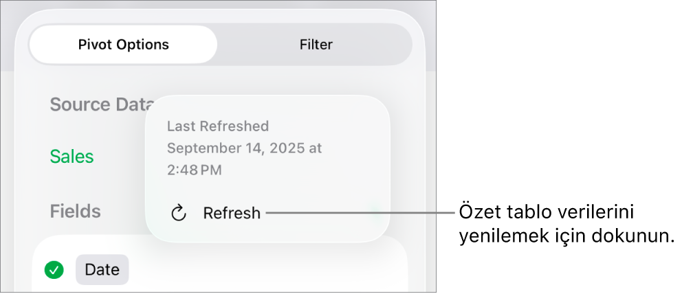 Özet tabloyu yenileme seçeneğini gösteren Özet Seçenekleri menüsü.