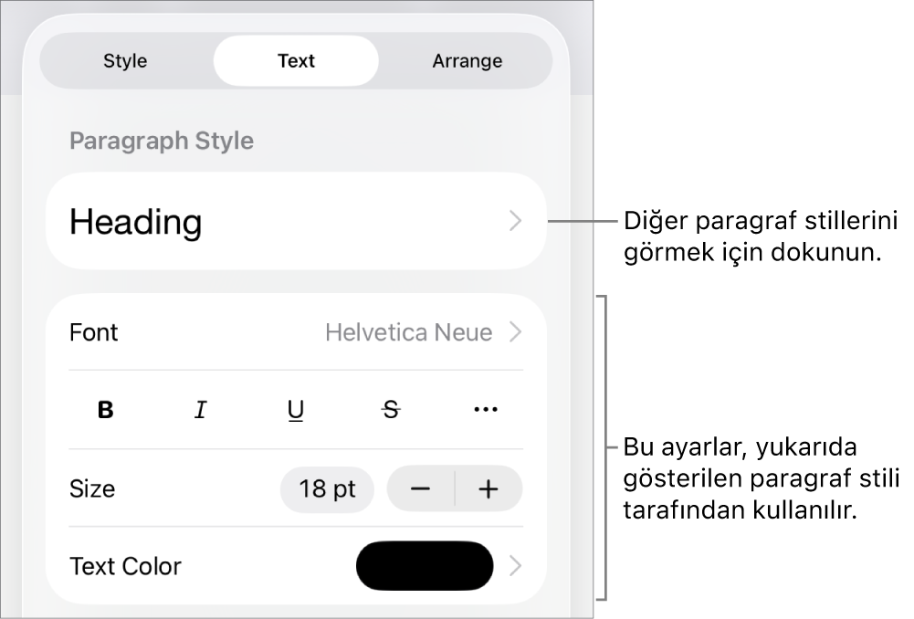Paragraf ve karakter stillerini, fontu, puntoyu ve rengi ayarlamayla ilgili metin denetimlerini gösteren Biçim menüsü.