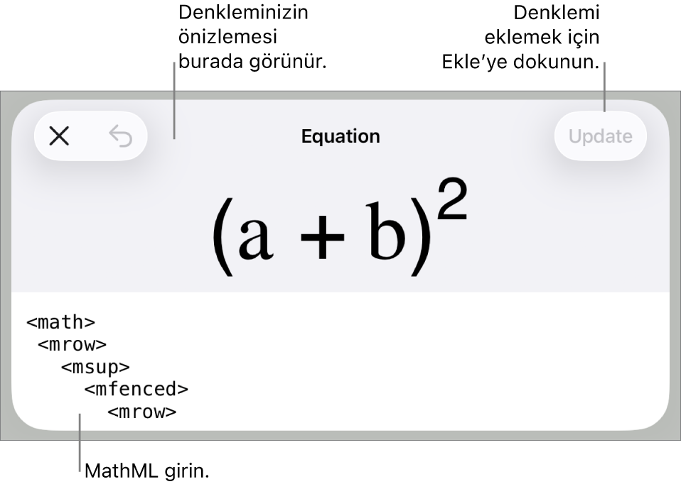 MathML komutları kullanılarak yazılmış bir denklemi ve onun üstünde formülün önizlemesini gösteren Denklem sorgu kutusu.