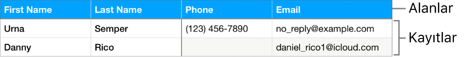 Alan etiketlerini içeren bir üst bilgi satırı ve bir spor takımı kadrosu için kişi bilgilerini gösteren kayıt listesi ile formlarla kullanım için düzgün bir şekilde ayarlanmış bir tablo.