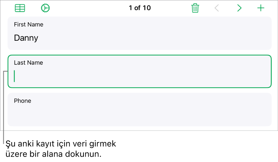 Ekleme noktası ile etkin bir alanı gösteren formdaki bir kayıt.