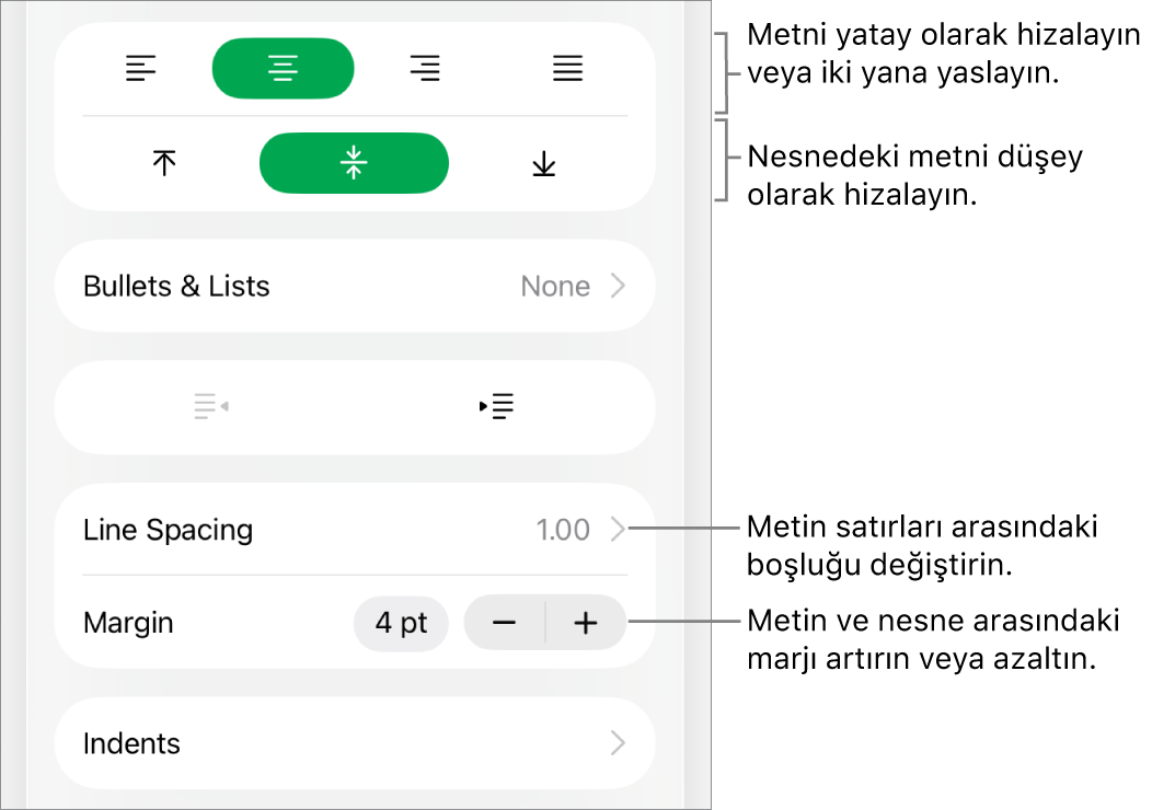 Metin hizalama ve aralık düğmelerine belirtimler gösteren Biçim Denetçisi'nin Hizalama bölümü.