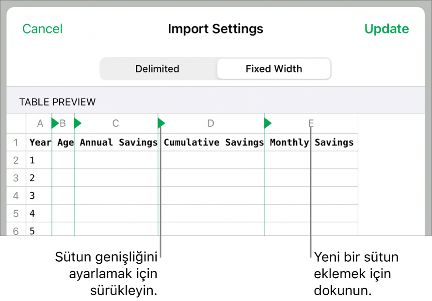 Sabit genişlikli metin dosyası için içe aktarma ayarları.
