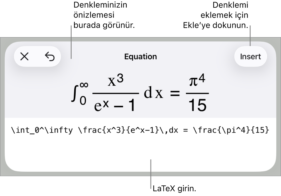LaTeX komutları kullanılarak yazılmış bir denklemi ve onun üstünde formülün önizlemesini gösteren Denklem sorgu kutusu.