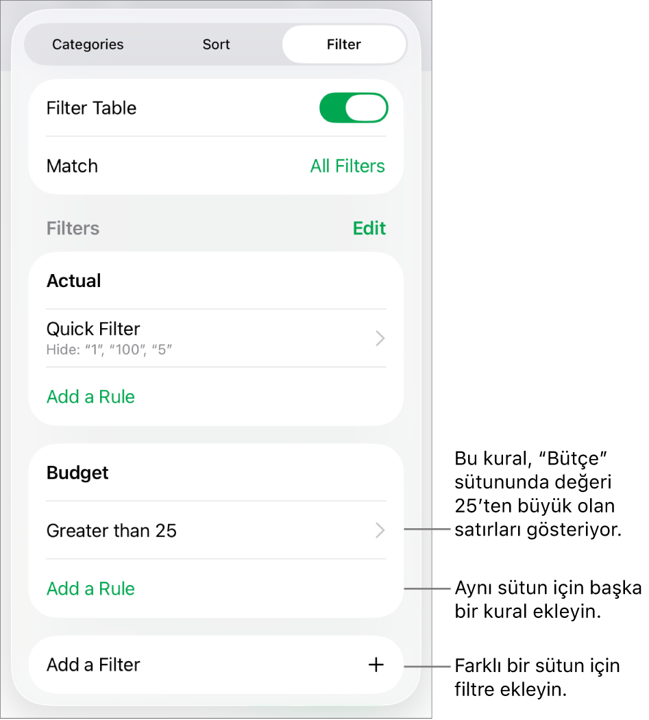 Yeni filtreleme kuralları ekleme veya var olanları düzenleme denetimleri.