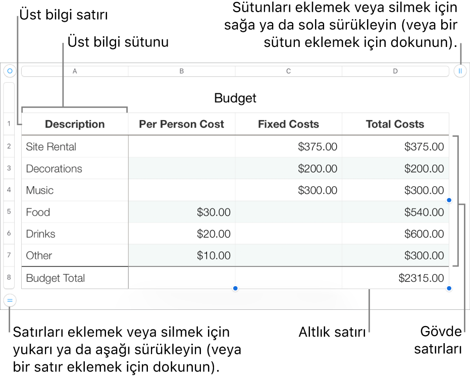 Üst bilgi, gövde ve dipnot satırlarını ve sütunlarını ve satır veya sütun eklemek ya da silmek için tutamakları gösteren bir tablo.