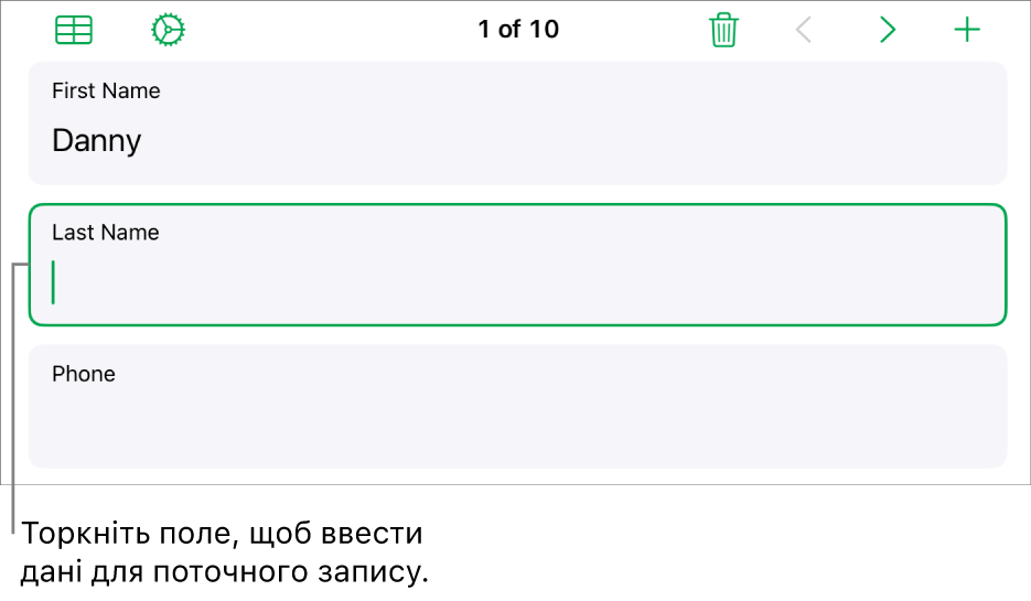 Запис у формі з активним полем і точкою вставлення.