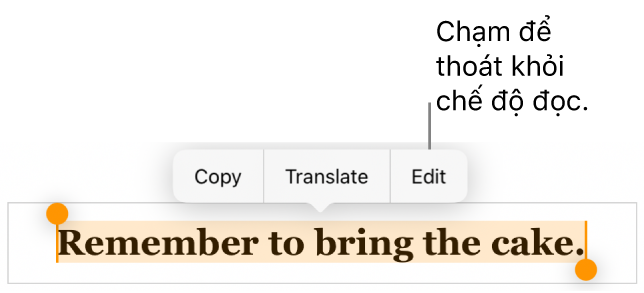 Một câu được chọn và phía trên câu đó là menu ngữ cảnh với các nút Sao chép và Sửa.
