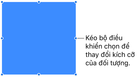 Đối tượng có các dấu chấm màu lam trên đường viền để thay đổi kích cỡ của đối tượng.
