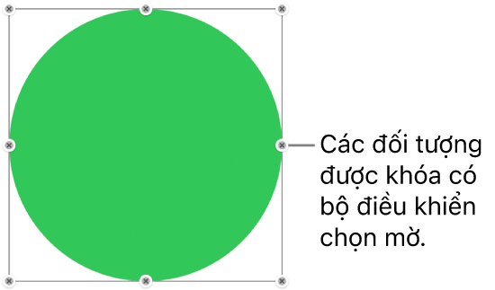 Một đối tượng bị khóa có các bộ điều khiển chọn bị làm mờ.