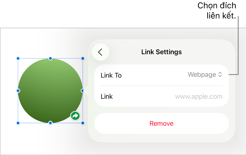 Các điều khiển Cài đặt Liên kết với Trang web được chọn và nút Xóa nằm ở cuối.