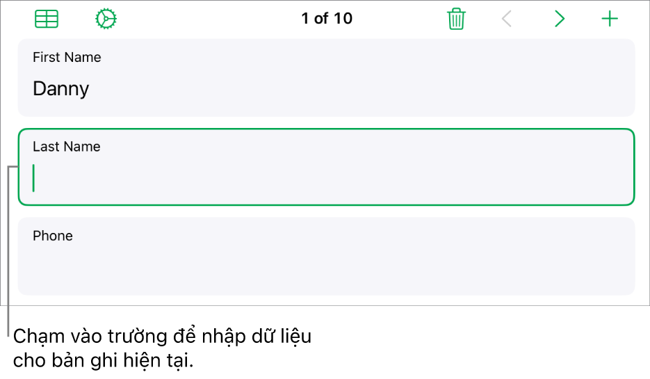 Hồ sơ là biểu mẫu đang hiển thị trường hoạt động với dấu chèn.