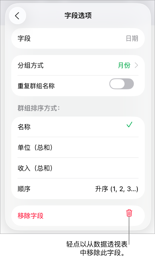 “字段选项”菜单，显示成组和排序数据的控制以及移除字段的选项。