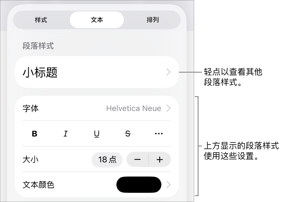 显示文本控制的“格式”菜单,用于设定段落和字符样式、字体、大小和颜色。
