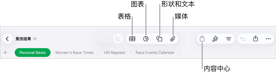用于添加对象的控制，顶部包含可供选取表格、图表、形状（包括线条和文本框）和媒体的按钮。
