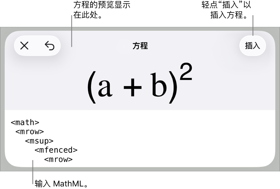 “方程”对话框，显示使用 MathML 命令所写的方程，以及上方公式的预览。
