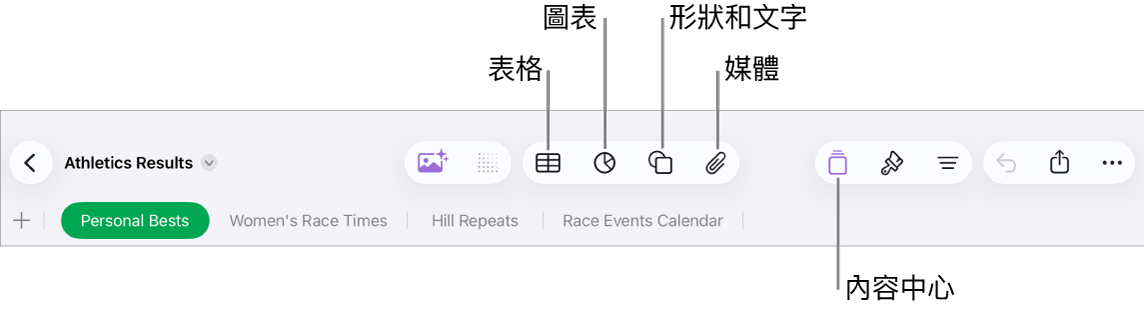 加入物件的控制項目，最上方的按鈕可選擇表格、圖表、形狀（包括線條和文字框）及媒體。