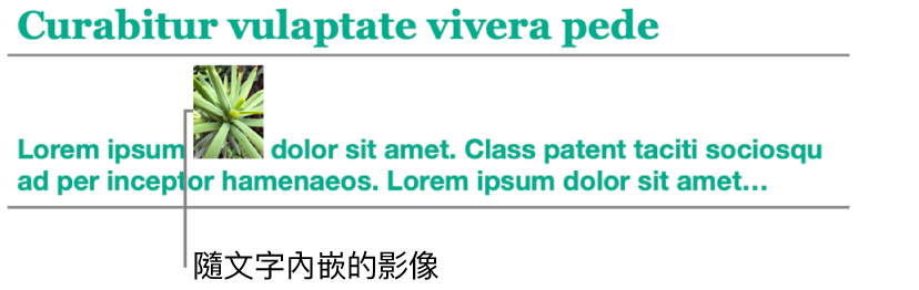 影像隨文字內嵌。