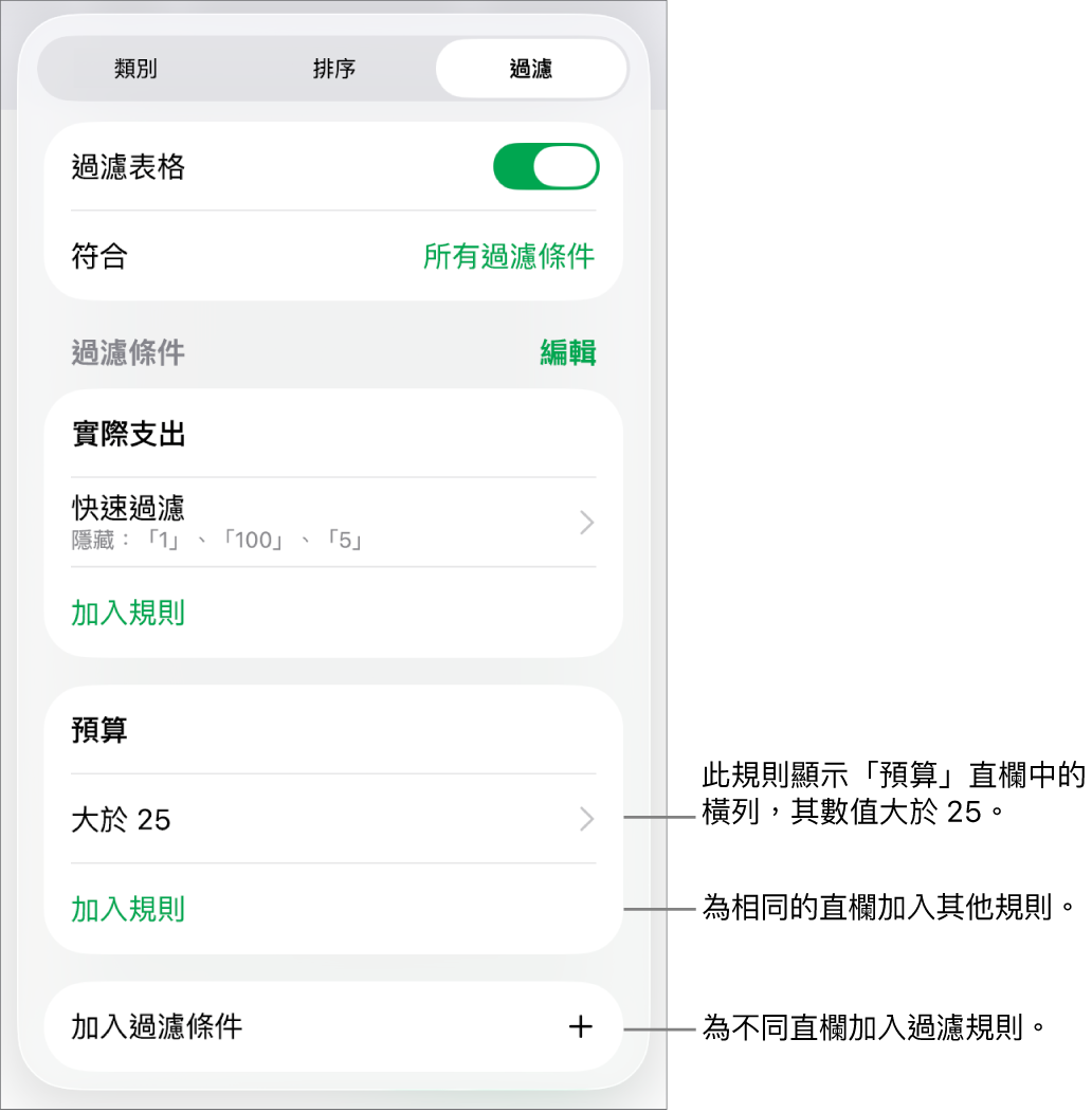 控制項目，用於加入新過濾規則或編輯現有過濾規則。