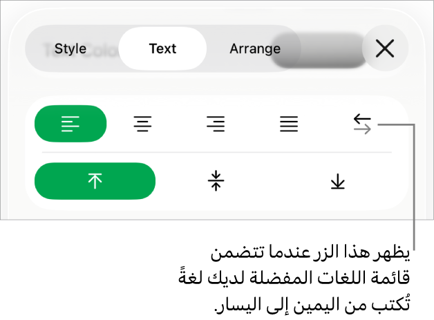 قسم النمط في قائمة التنسيق مع وسيلة شرح لزر "من اليمين إلى اليسار".