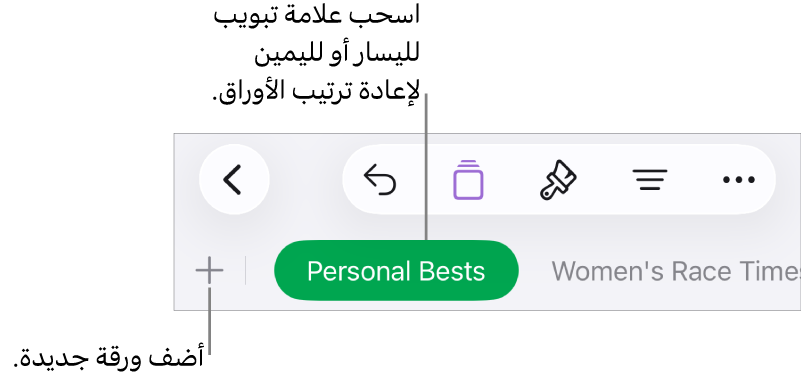 شريط علامات التبويب لإضافة ورقة جديدة والتنقل وإعادة التنظيم وإعادة ترتيب الأوراق.