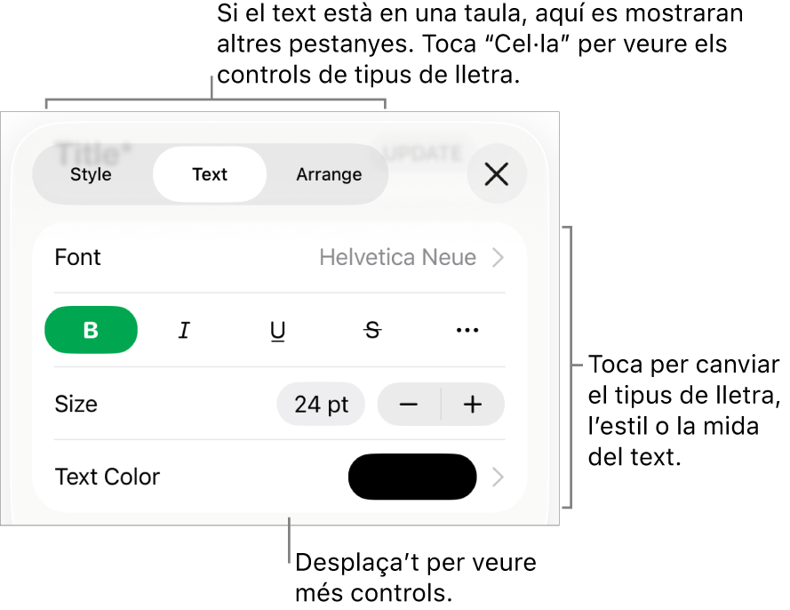 Controls de text al menú Format per definir els estils de paràgraf i de caràcter, el tipus de lletra, la mida i el color.